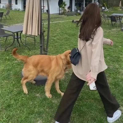 假如生活欺骗了你